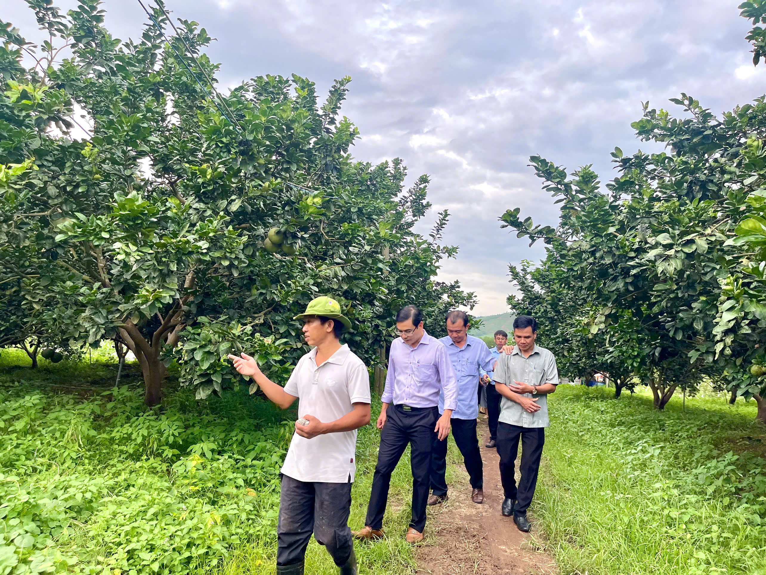 z7174625934660_6c192f866fa1c72412983f73293b15c9